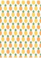 Les ananas orange et jaunes (70x100)