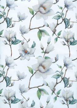 Magnolia blanc (68x98)
