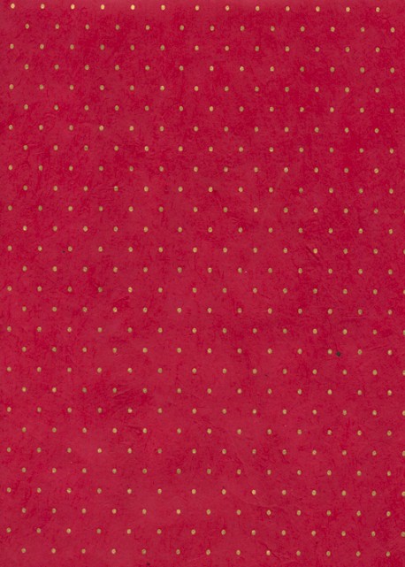 Lokta plumetis or fond rouge (50x75)