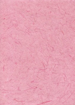 Véritable Gampi rose dragée (42x60)