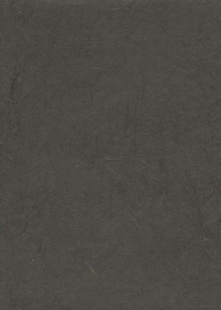 Véritable Gampi noir (42x60)