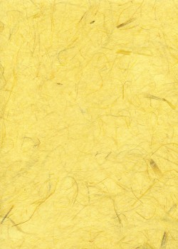 Véritable Gampi jaune citron (42x60)