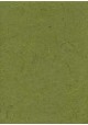 Véritable Gampi vert olive (42x60)
