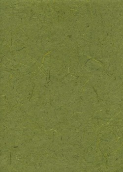 Véritable Gampi vert olive (42x60)