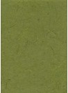 Véritable Gampi vert olive (42x60)