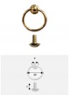 Anneau belière or "redoré" Ø20mm + vis - Lot de 2