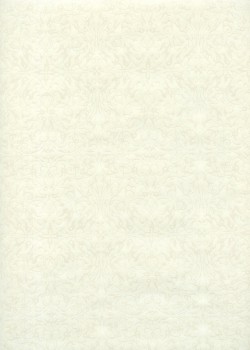 "Ornement" blanc nacré fond ivoire (54x78)