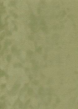 Simili cuir velours Zeste tilleul (70x100)