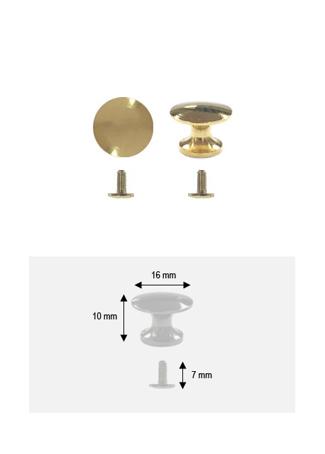 Bouton lentille or "redoré" + vis (Ø16 H:10mm)