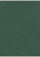 Véritable Gampi vert sapin (42x60)