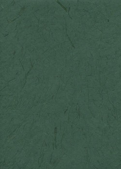 Véritable Gampi vert sapin (42x60)