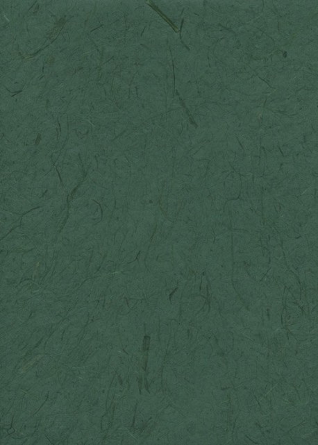 Véritable Gampi vert sapin (42x60)
