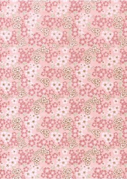 Véritable Yuzen (52x65.5) N°54-1