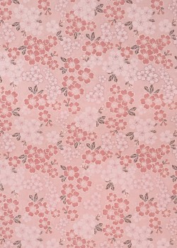 Véritable Yuzen (52x65.5) N°53-1