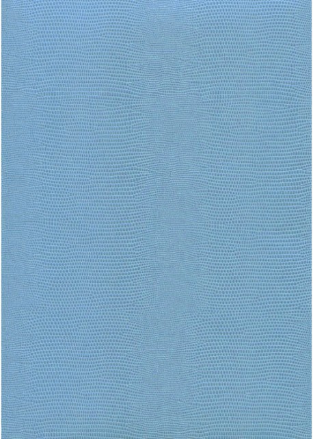 Skivertex "Lézard" bleu ciel.