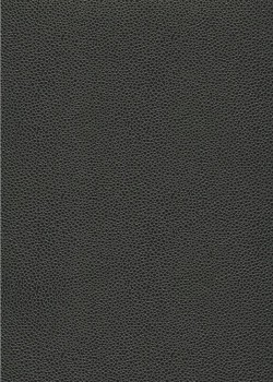 Simili cuir Skivertex "Gros Galuchat" gris foncé