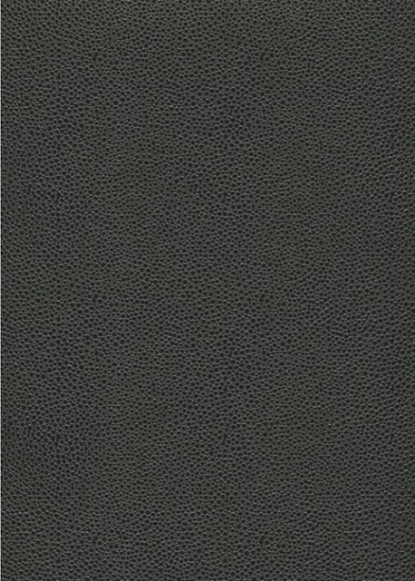 Simili cuir Skivertex "Gros Galuchat" gris foncé