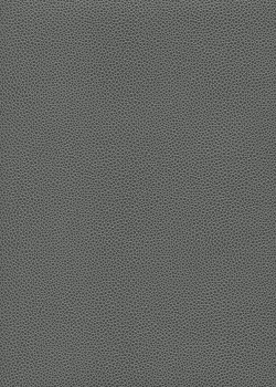 Simili cuir Skivertex "Gros Galuchat" gris souris