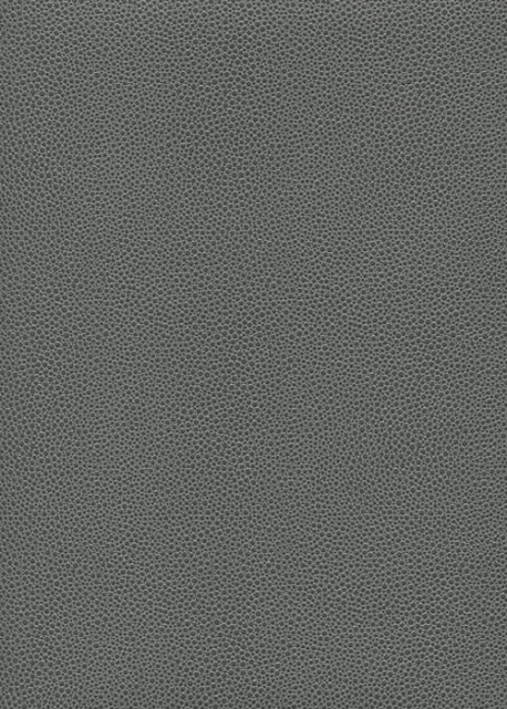 Simili cuir Skivertex "Gros Galuchat" gris souris