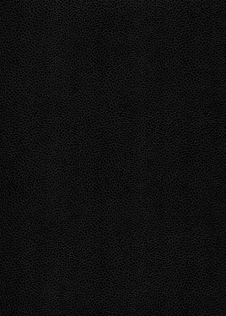 Simili cuir Skivertex "Gros Galuchat" noir