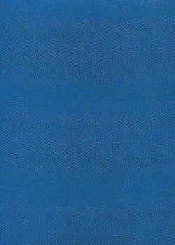 Skivertex "Lézard" bleu électrique