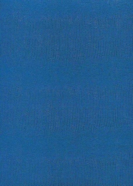 Skivertex "Lézard" bleu électrique.