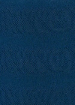 Skivertex "Lézard" bleu moyen.