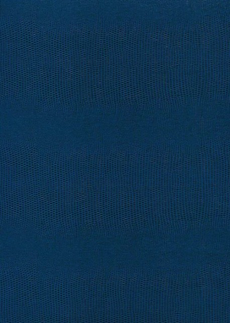 Skivertex "Lézard" bleu moyen