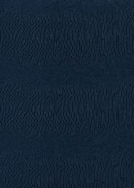 Skivertex "Lézard" bleu marine