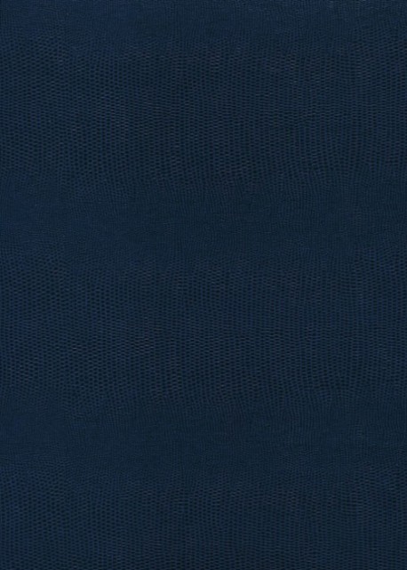 Skivertex "Lézard" bleu marine