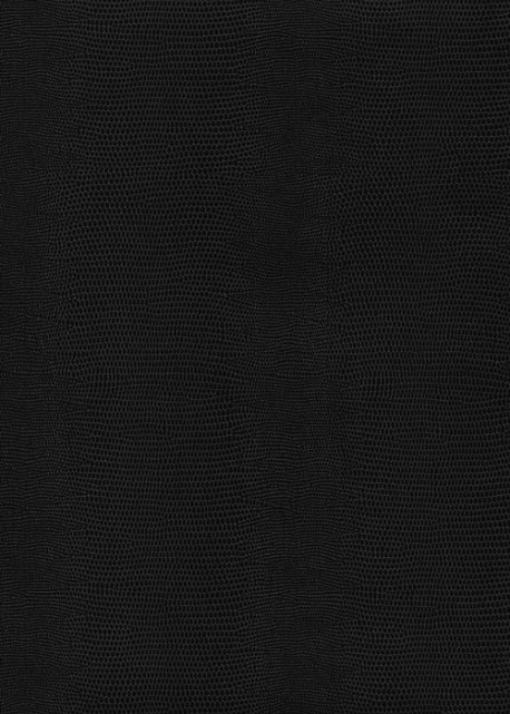 Skivertex "Lézard" noir