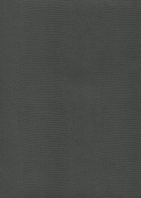 Skivertex "Lézard" gris foncé.