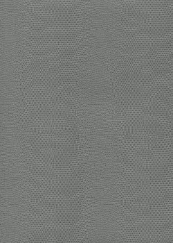 Skivertex "Lézard" gris souris