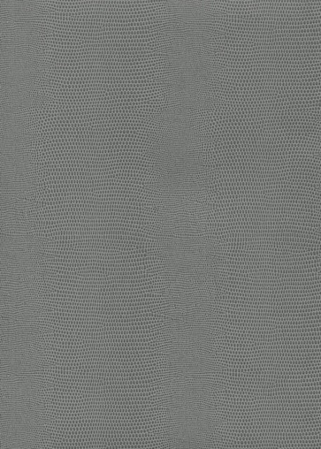 Skivertex "Lézard" gris souris.
