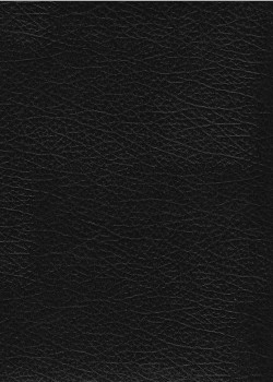 Simili cuir Skivertex "Chevreau" noir