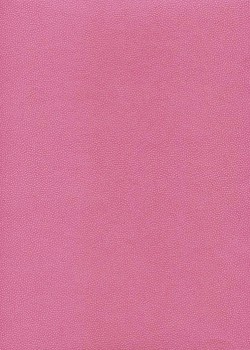 Skivertex "Mini Galuchat" rose fuchsia