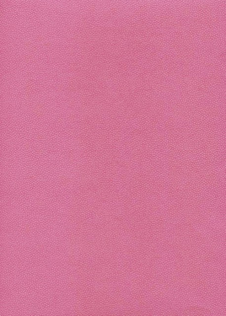 Skivertex "Mini Galuchat" rose fuchsia