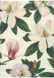 Fleurs de magnolia (70x100)