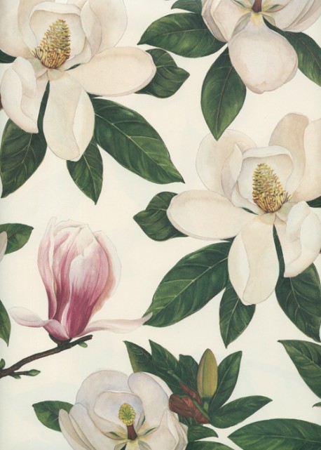 Fleurs de magnolia (70x100)