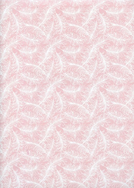 Plumage blanc fond rose (50x70)