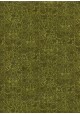 Sérénité fond vert anis (50x70)
