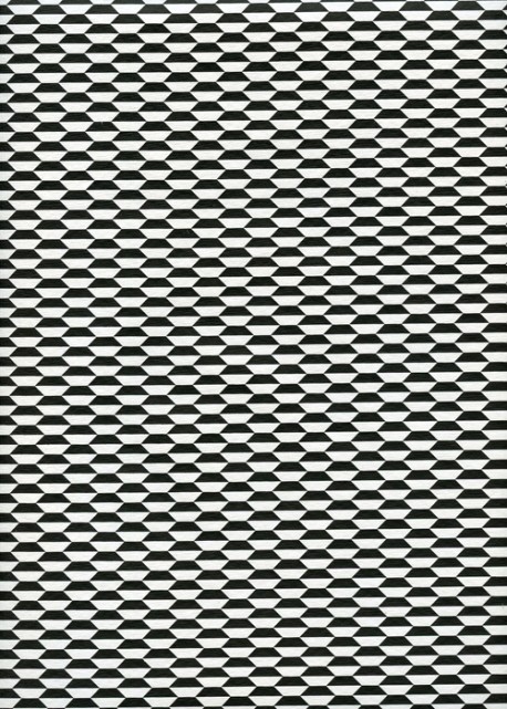 Illusion noir et blanc (50x70)