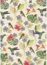 Les colibris (70x100)
