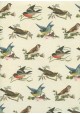 Planche d'oiseaux (50x70)