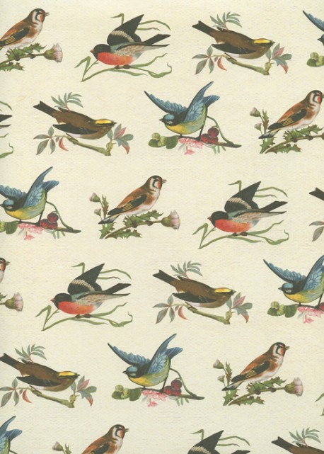 Planche d'oiseaux (50x70)