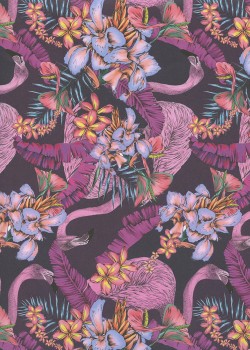Les flamants roses (50x70)