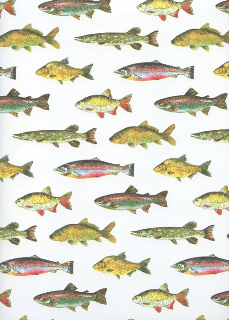 Planche de poissons (50x70)