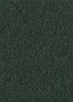 Simili cuir "Buffle grainé" vert profond (70x100)