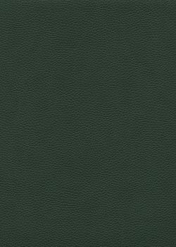 Simili cuir "Buffle grainé" vert profond (70x100)