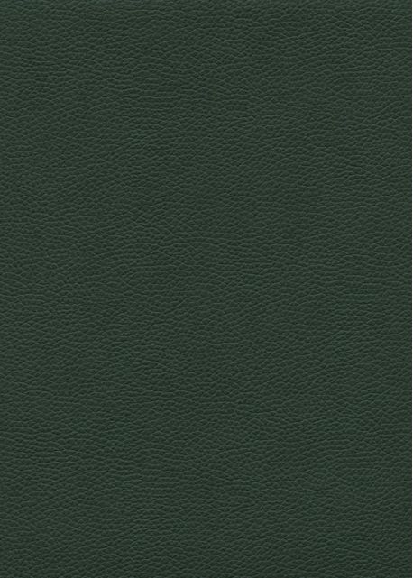 Simili cuir "Buffle grainé" vert profond (70x100)